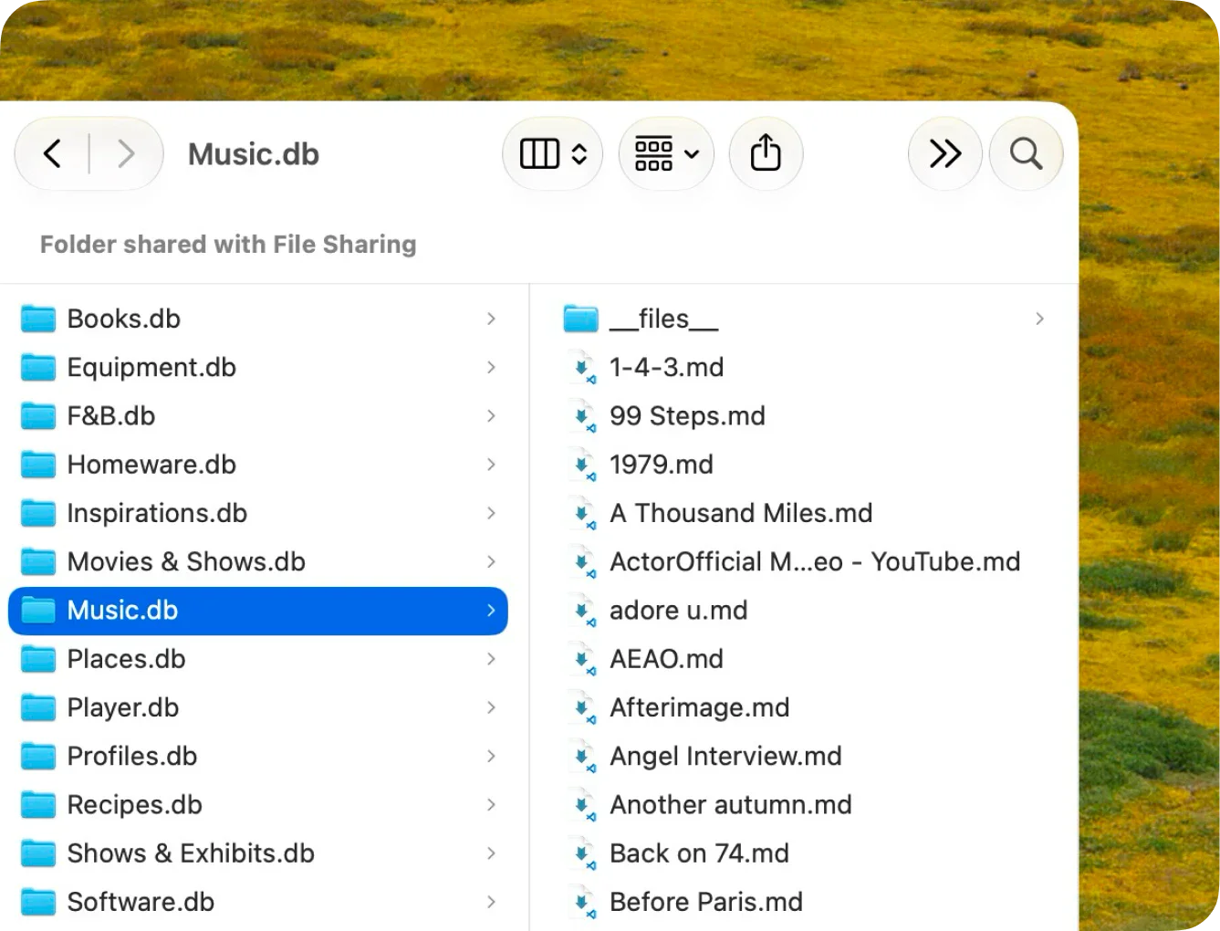 A Lorem library seen in Finder: collections are plain folders of Markdown files